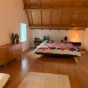  Bed & Breakfast Tanti Baci!